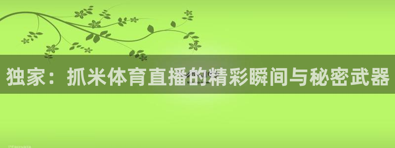 河豚直播nba免费观看：独家：抓米体育直播的精彩瞬间与秘密武器