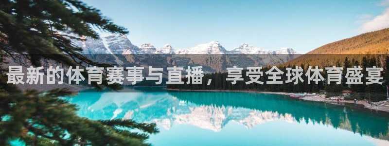 河豚面：最新的体育赛事与直播，享受全球体育盛宴