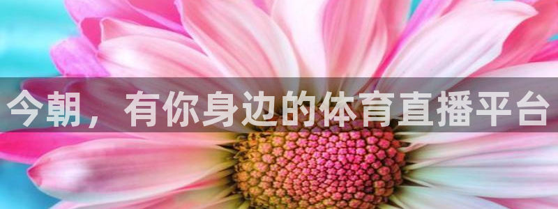 河豚体育直播看球app：今朝，有你身边的体育直播平台