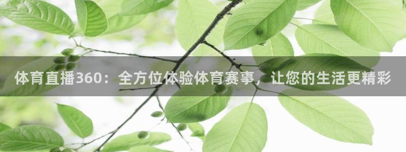 河豚体育直播app：体育直播360：全方位体验体育赛事，让您的生活更精彩