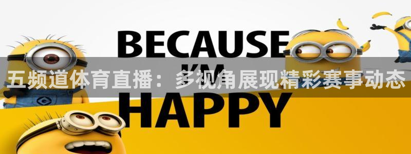河豚体育在线直播nba：五频道体育直播：多视角展现精彩赛事动态