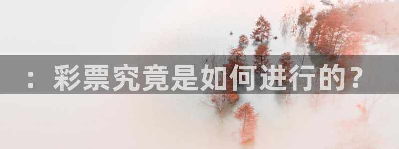 河豚体育nba直播在线观看：：彩票究竟是如何进行的？