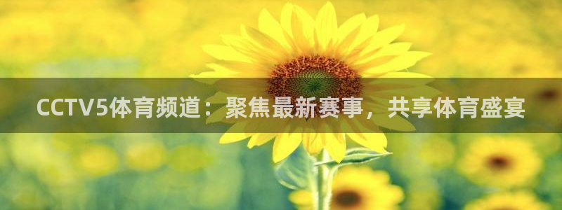 河豚体育直播app：CCTV5体育频道：聚焦最新赛事，共享体育盛宴