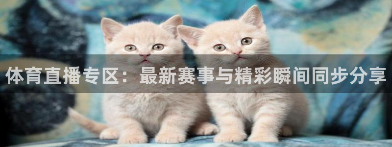 河豚免费nba在线直播：体育直播专区：最新赛事与精彩瞬间同步分享